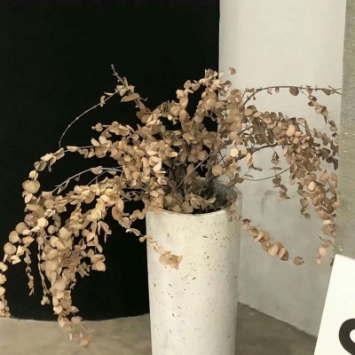 Furry插画光影处理技巧福瑞交流群